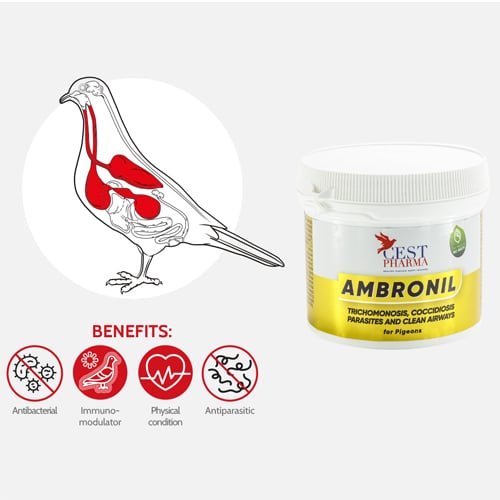 AMBRONIL-100G-1.jpg AMBRONIL 100G 1